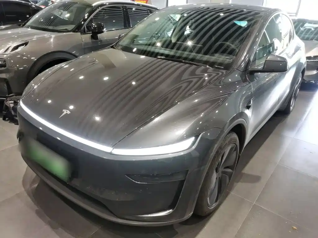 Tesla Model Y — миниатюра 2
