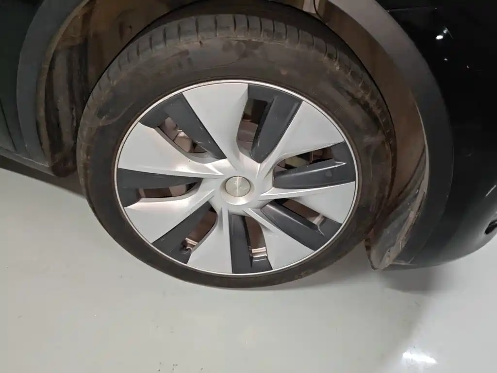 Tesla Model Y — миниатюра 26