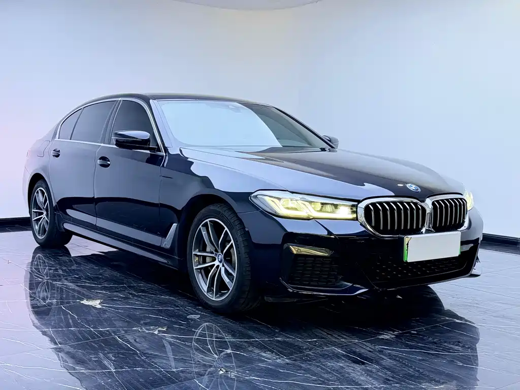 BMW 5 Series New Energy — миниатюра 3