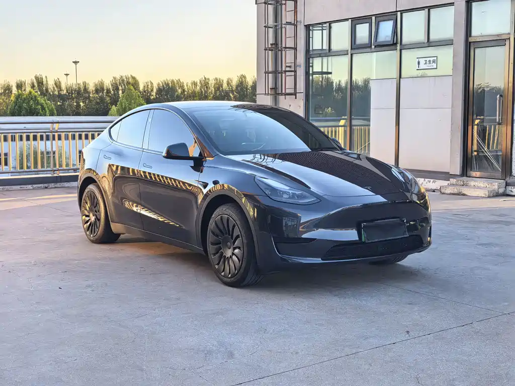Tesla Model Y — миниатюра 3