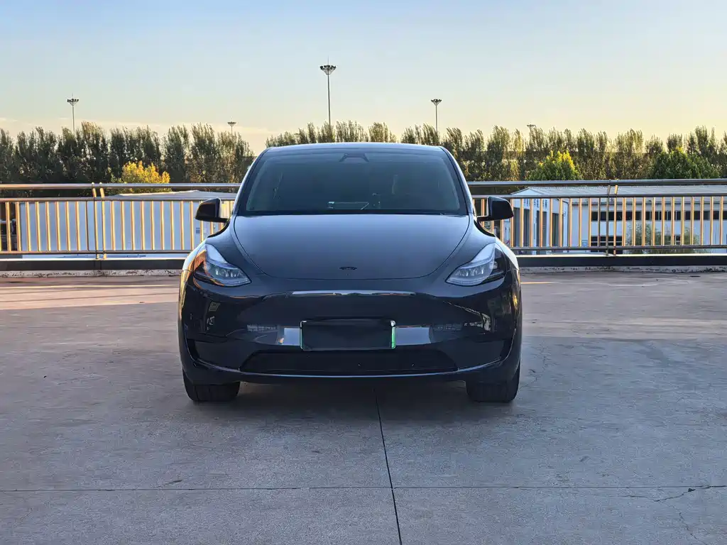 Tesla Model Y — миниатюра 2