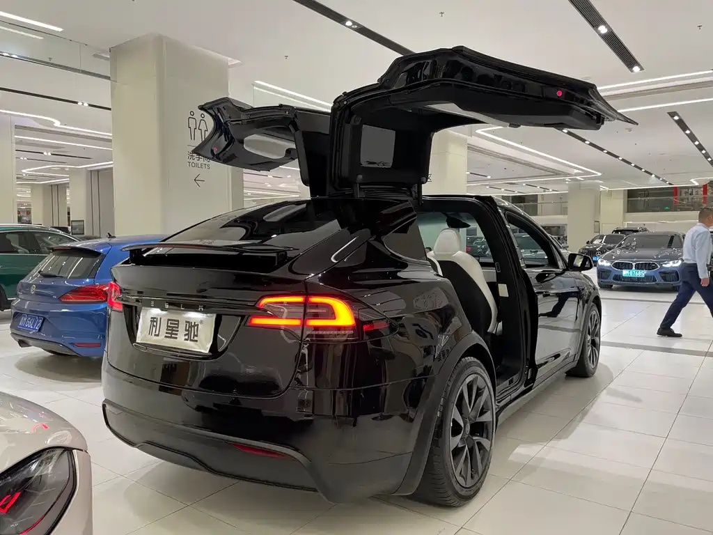 Tesla Model X — миниатюра 5