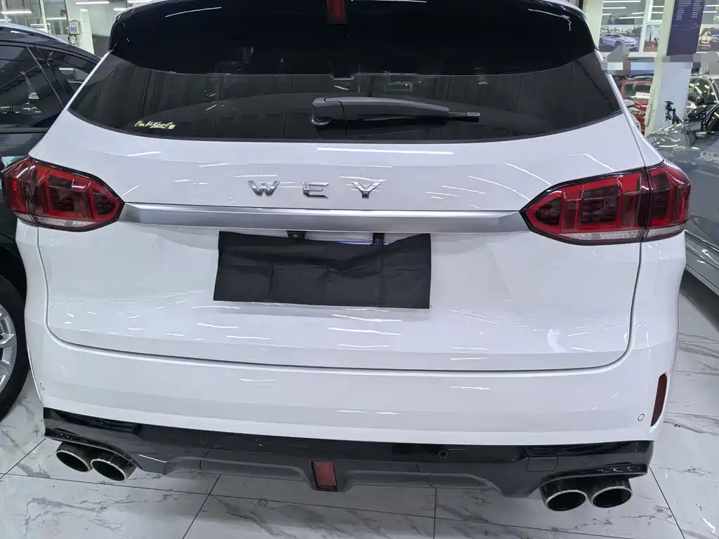 WEI PAI WEI BRAND VV6