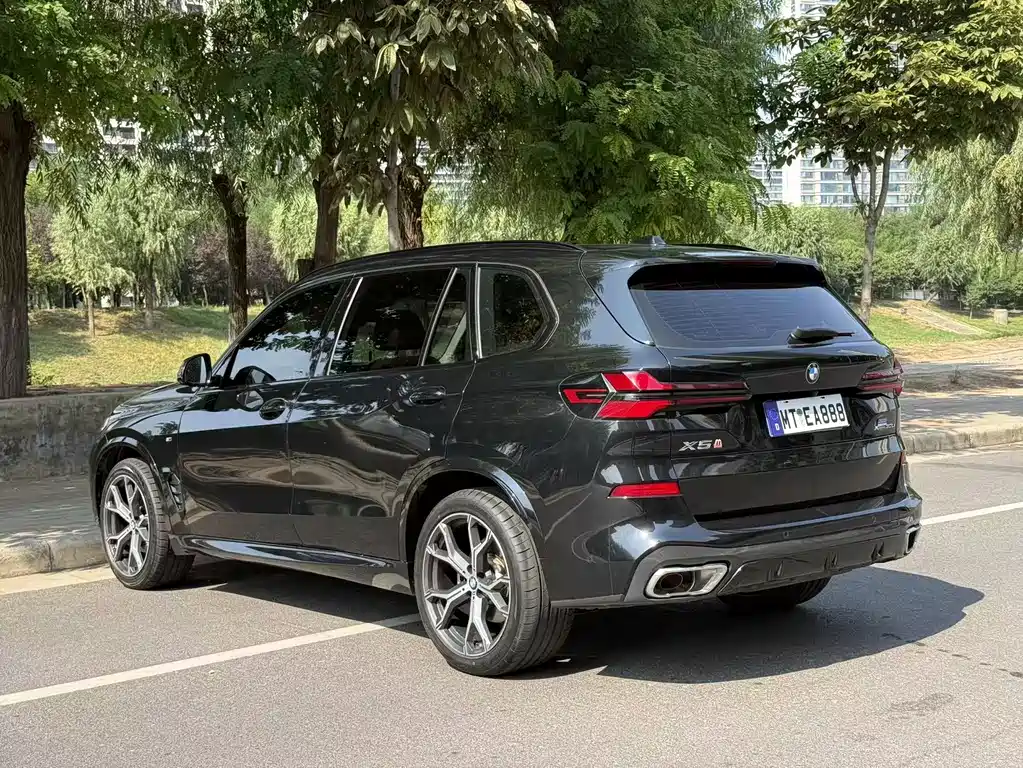 BMW X5 — миниатюра 9