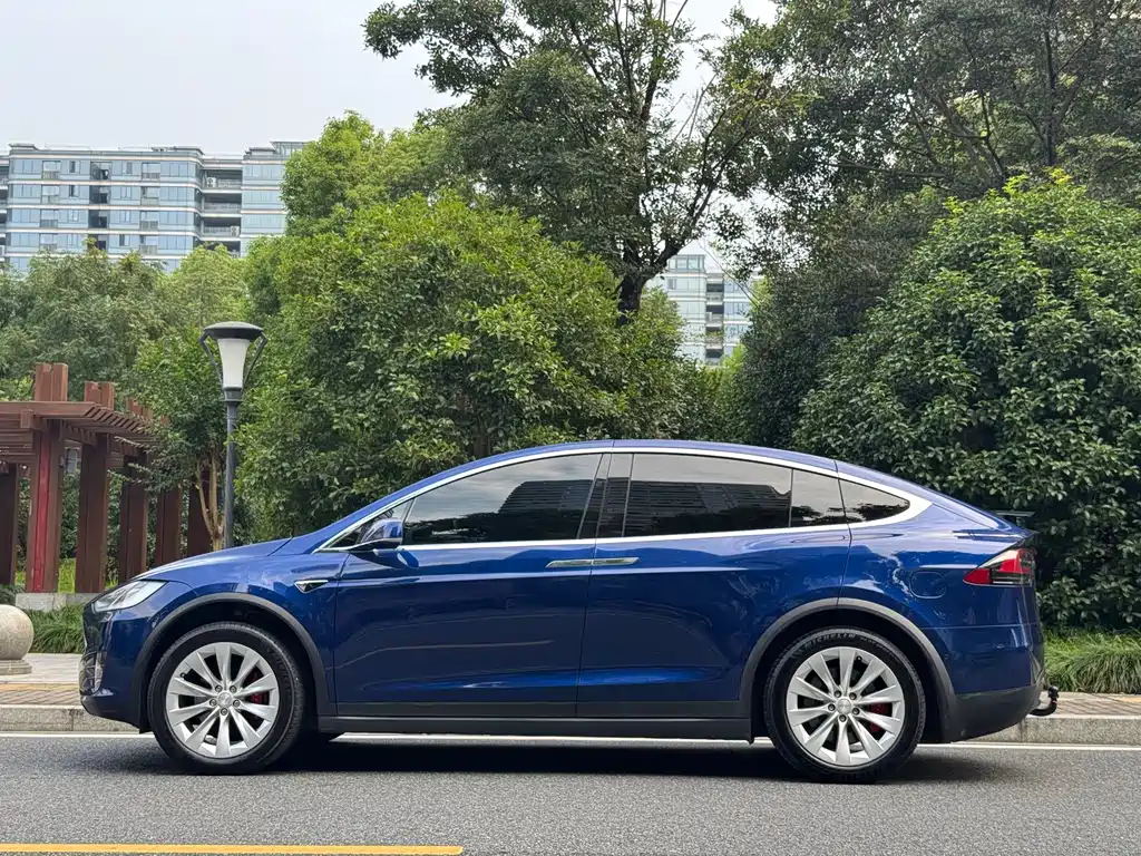 Tesla Model X — миниатюра 5