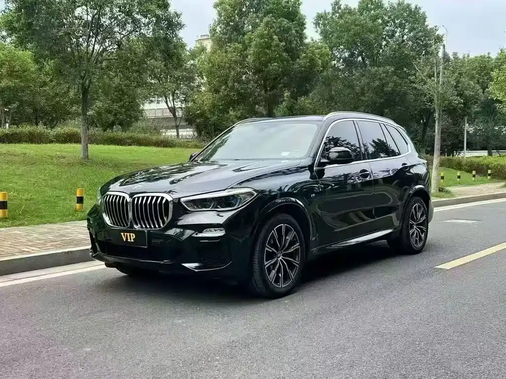 BMW X5 (Import) — миниатюра 7