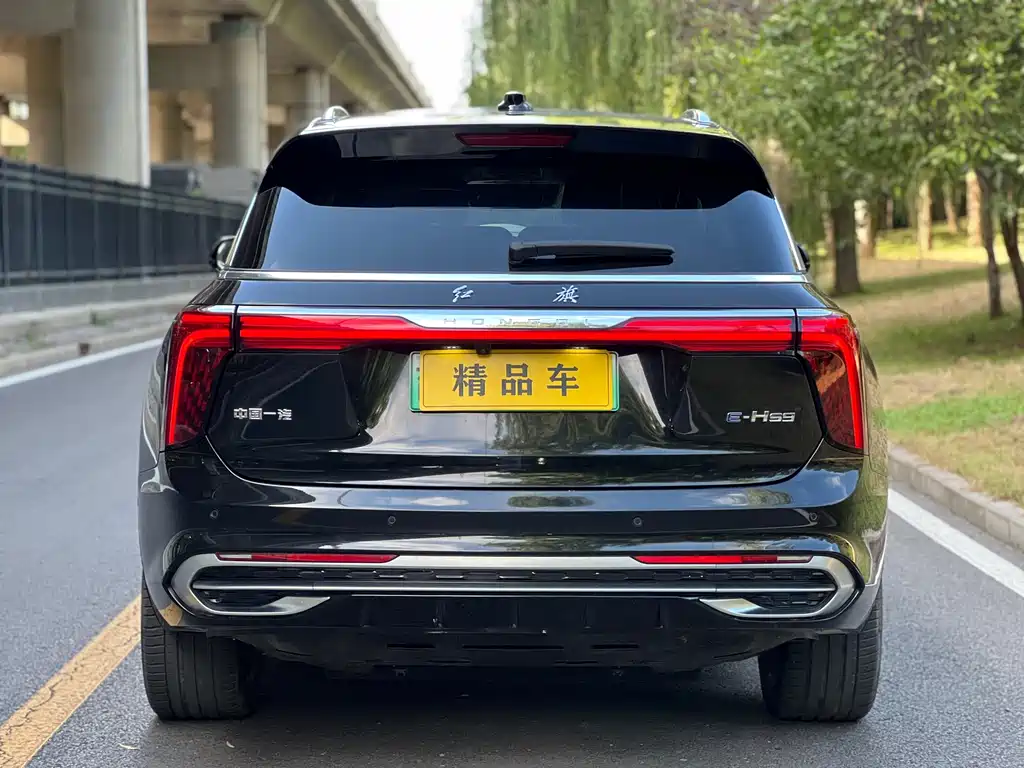 Hongqi Hongqi E-HS9 — миниатюра 6