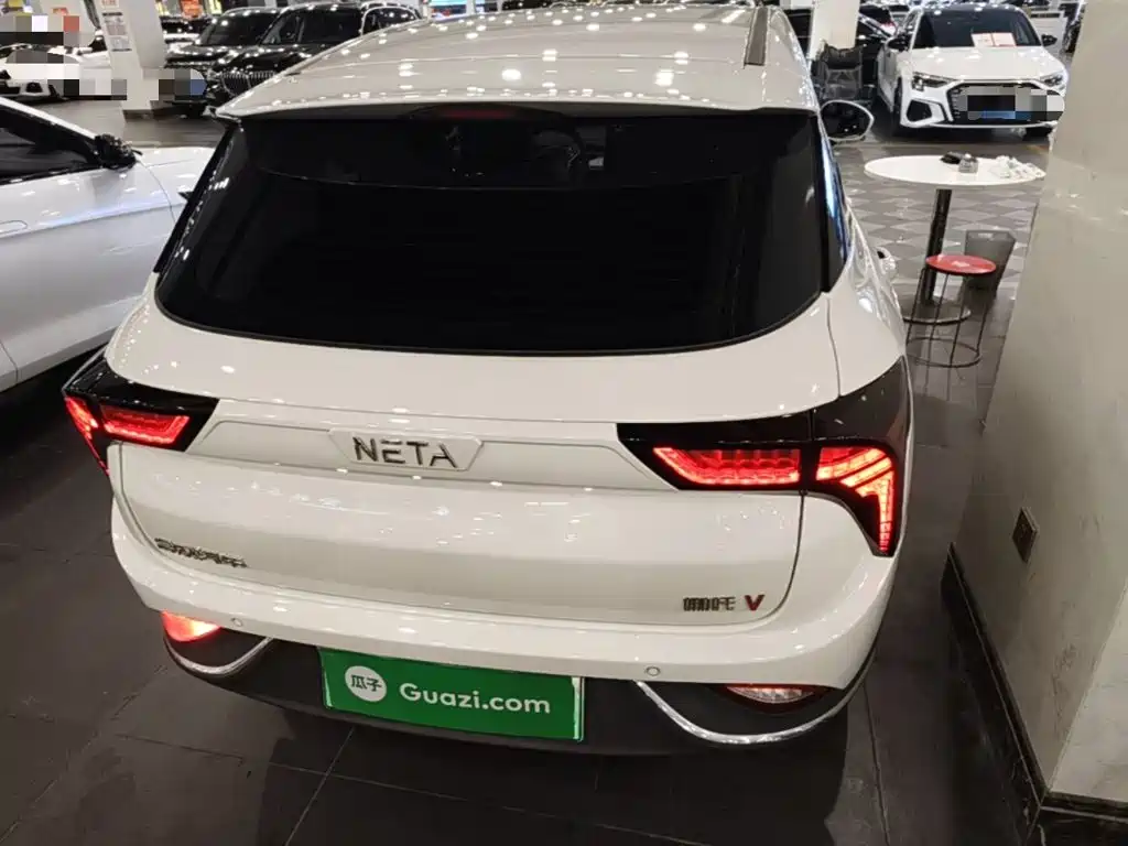 Neta Neta V — миниатюра 6