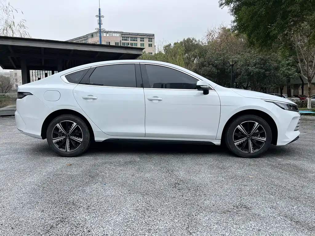 BYD Destroyer 05 2023 Champion DM-i 120KM Luxury
