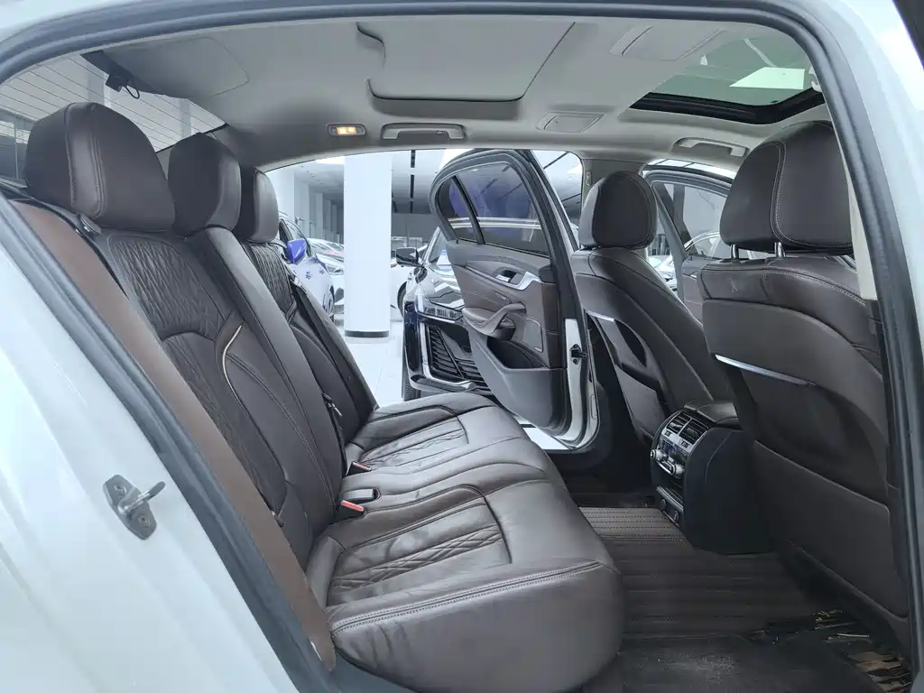 BMW 5 Series 5 2019 530Li Premium Luxury