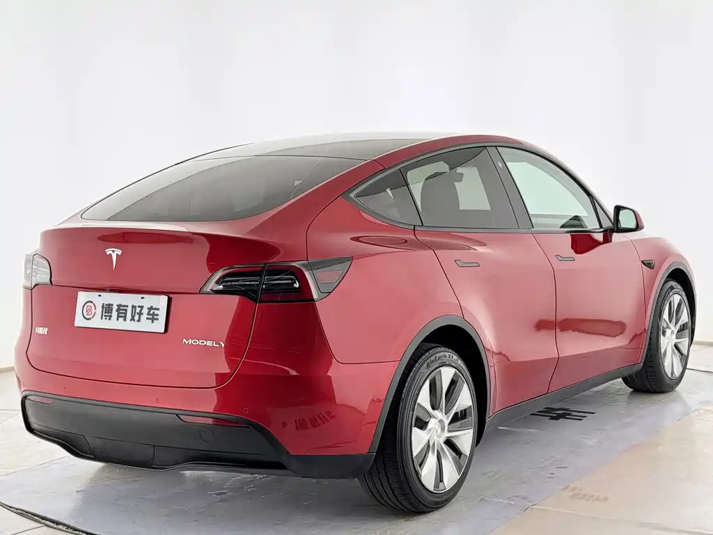 Tesla Model Y — миниатюра 13