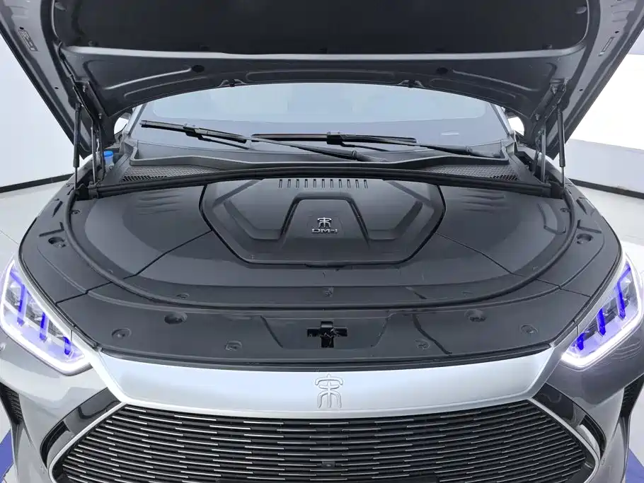 BYD PLUS New Energy — миниатюра 10