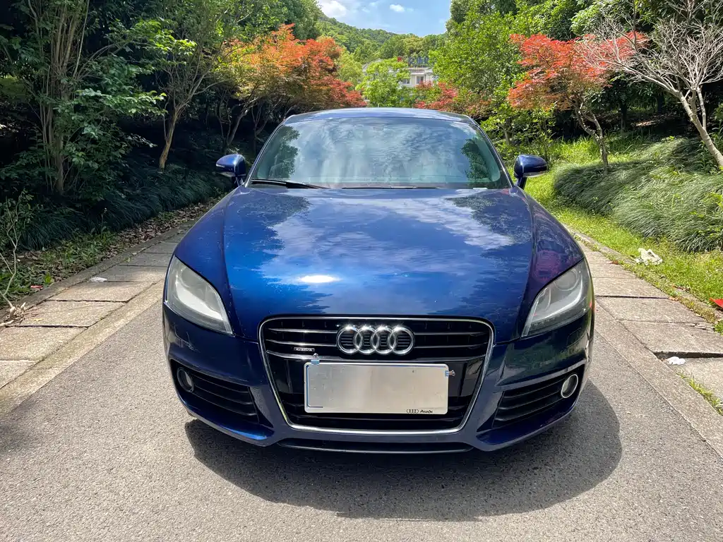 Audi TT 2013