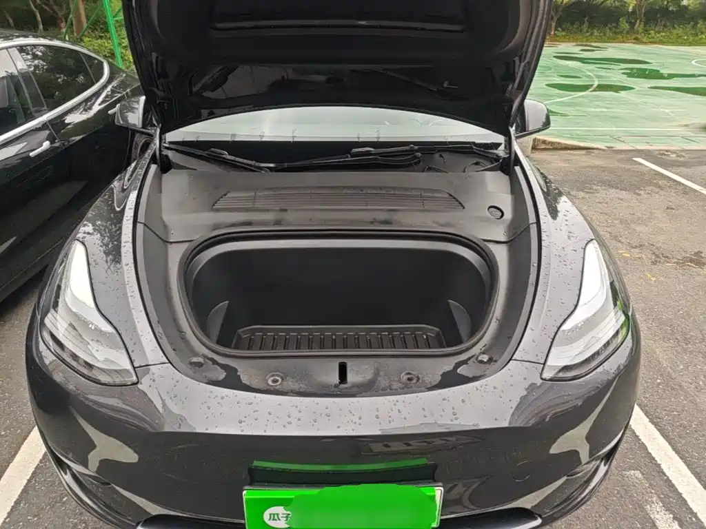 Tesla Model Y — миниатюра 20