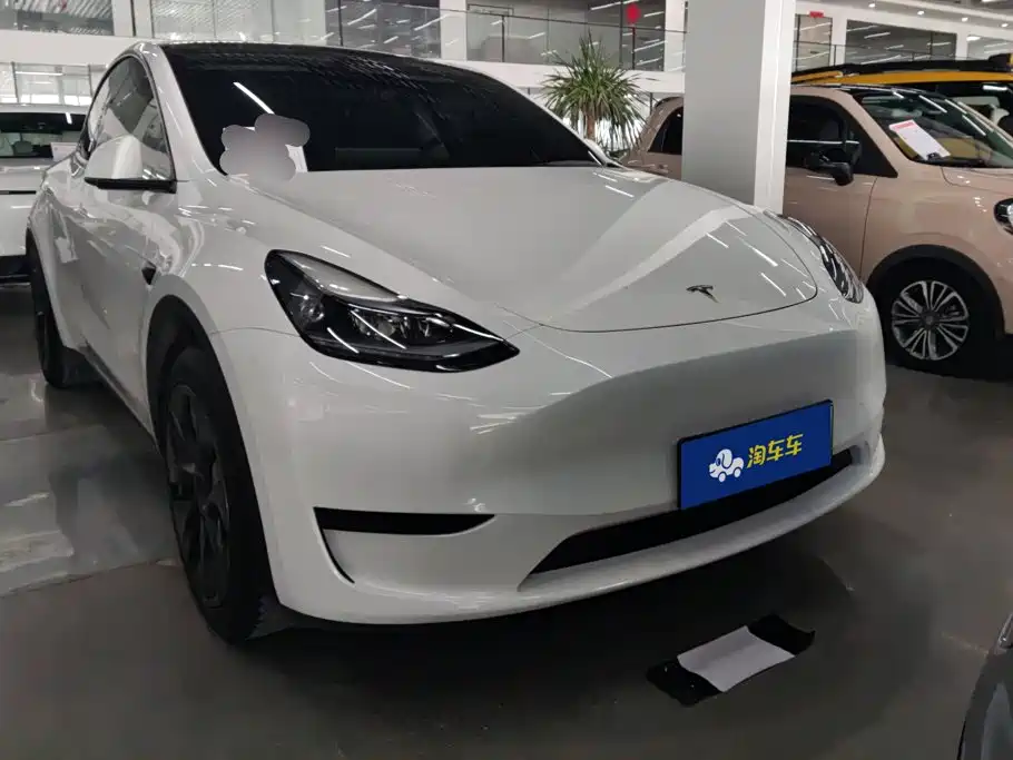 Tesla Model Y — миниатюра 2