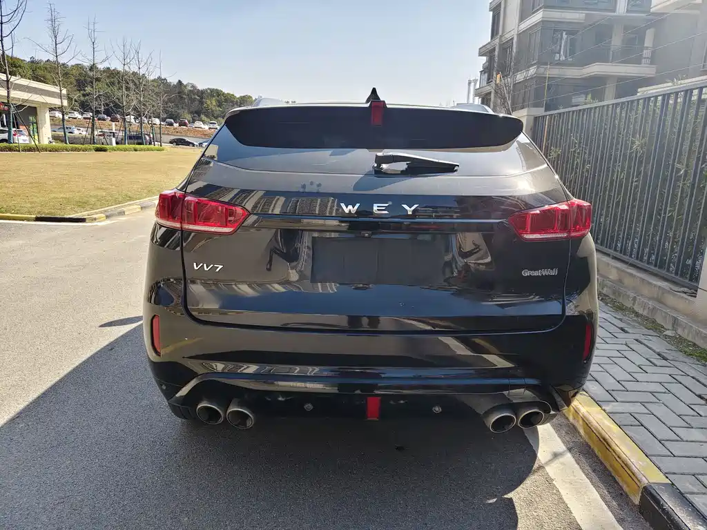 WEI PAI WEI BRAND VV7