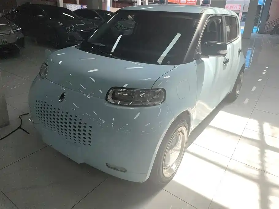 Ora Ora White Cat 2021