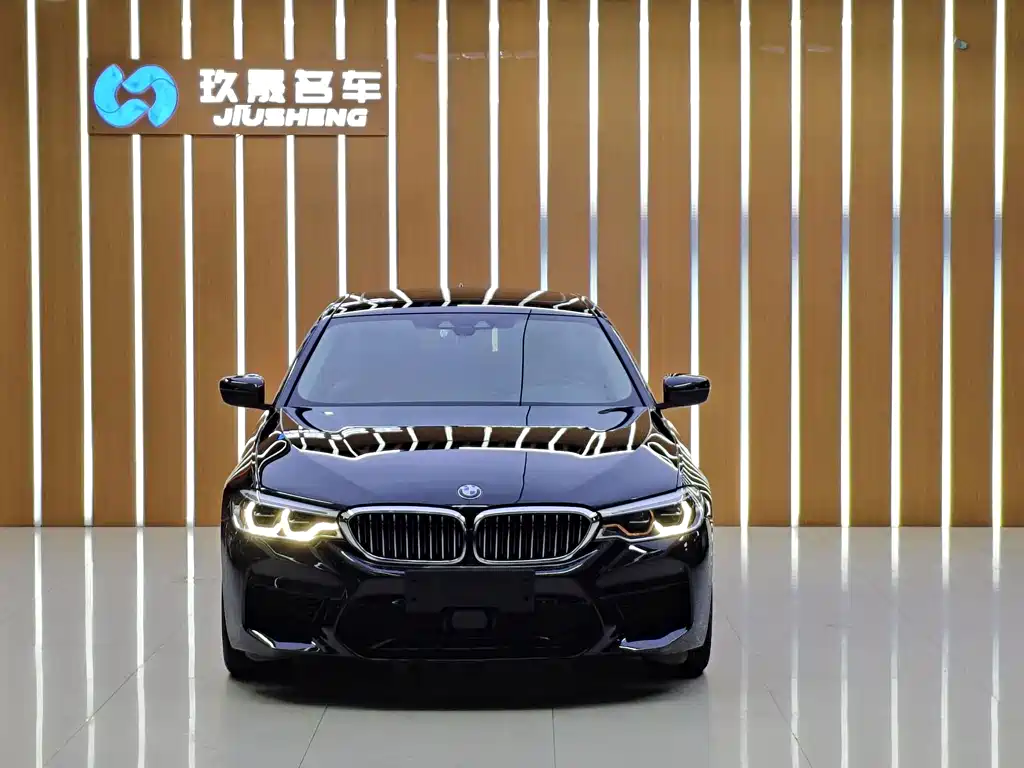 BMW 5 Series New Energy — миниатюра 2