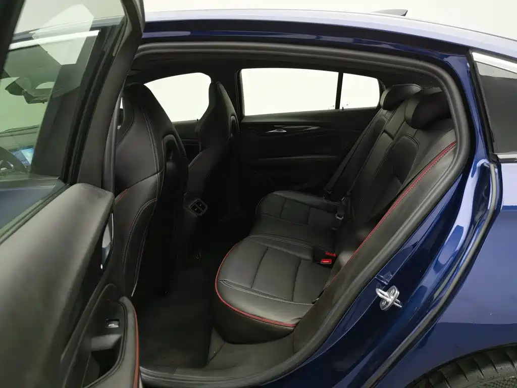 Buick Regal — миниатюра 15