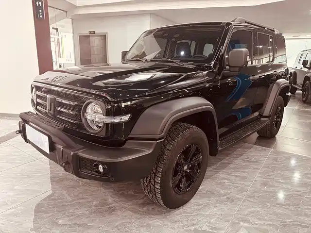 Tank 300
