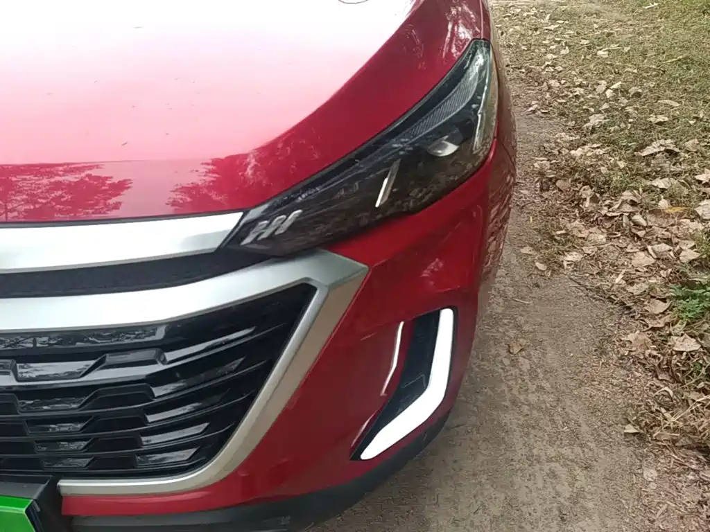 BAIC X3 — миниатюра 24