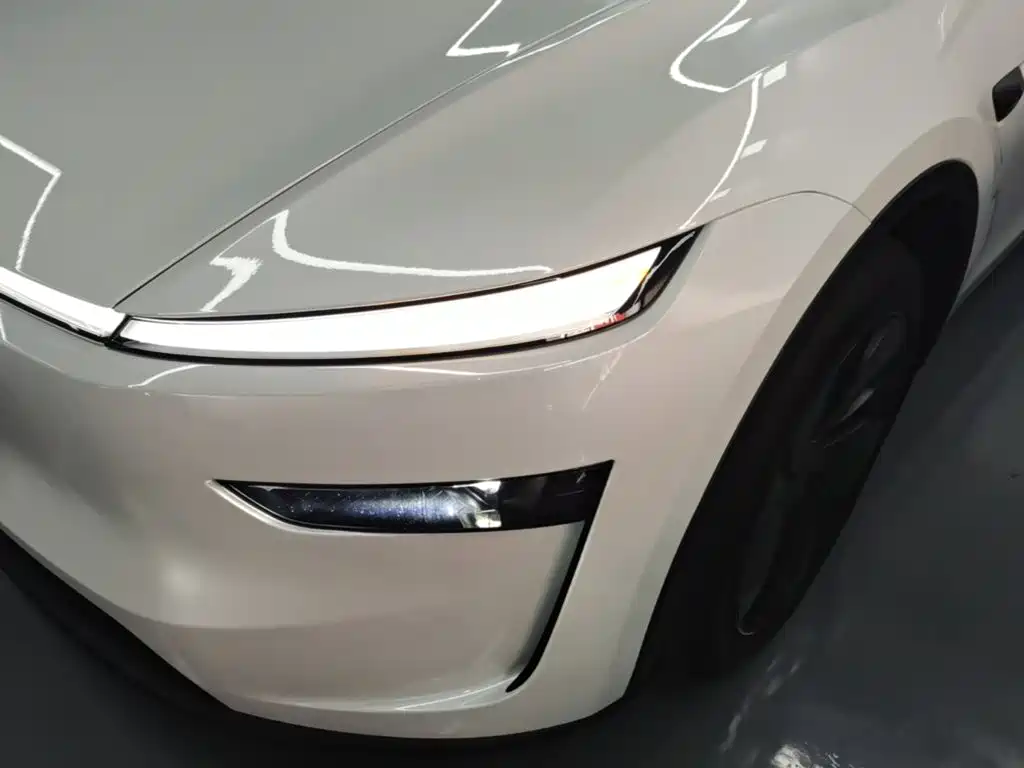 Tesla Model Y — миниатюра 24