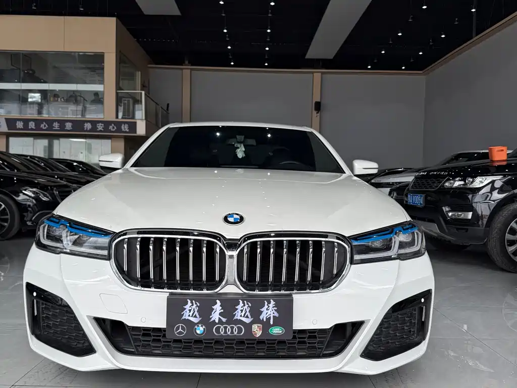 BMW 5 Series (Import) 2018