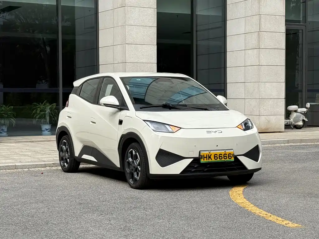 BYD Seagull 2025 Smart Drive 305km Freedom