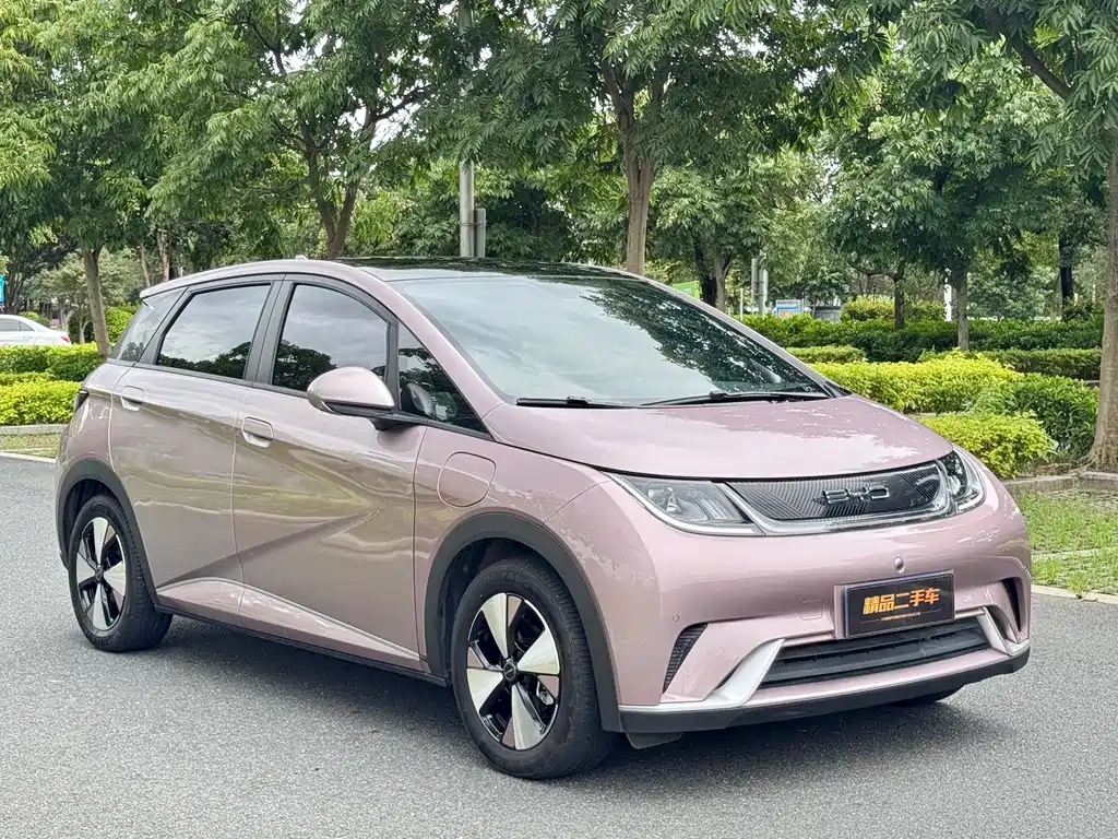 BYD Dolphin — миниатюра 3