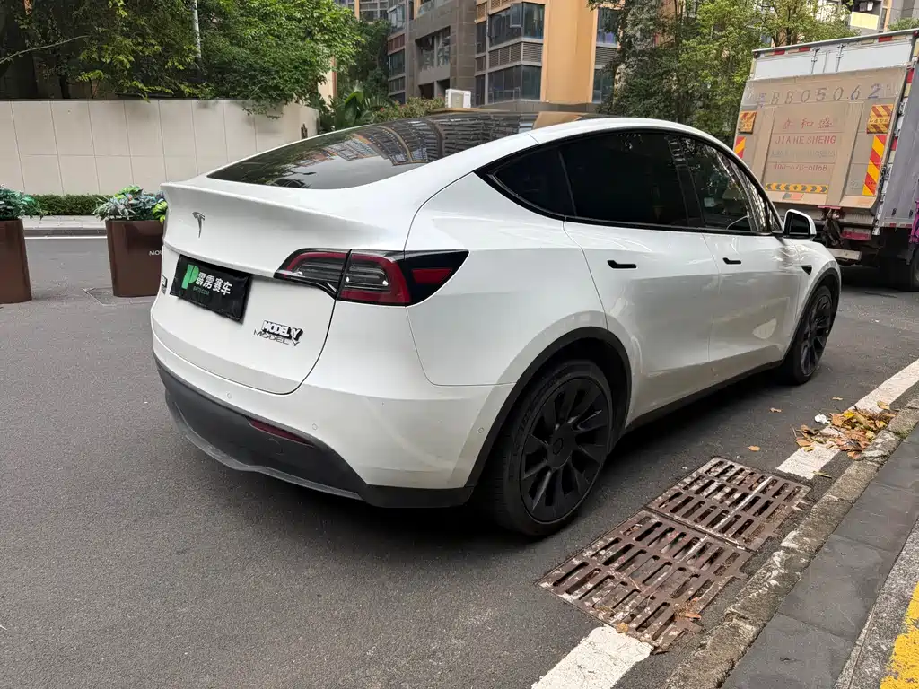 Tesla Model Y — миниатюра 11