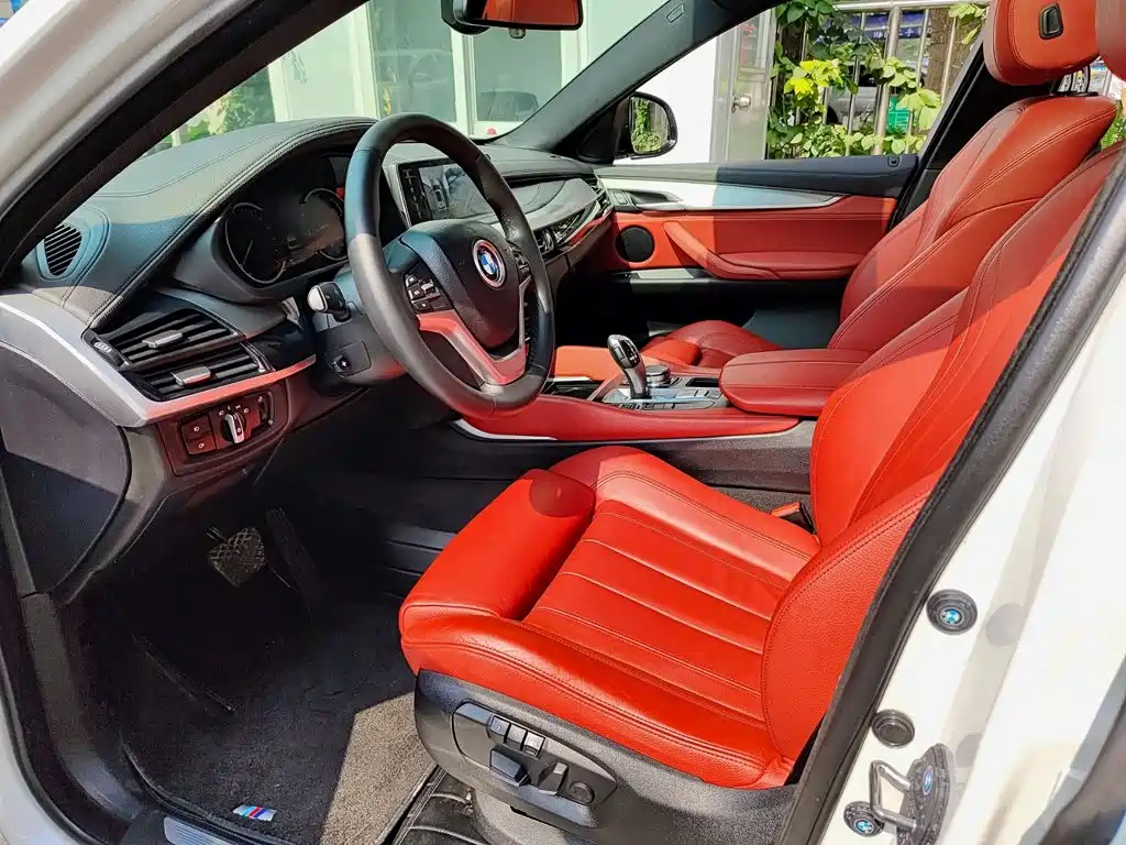 BMW X6 — миниатюра 7