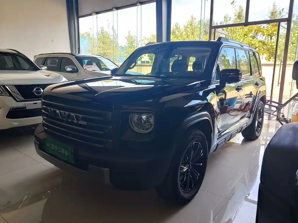 Haval Menglong New Energy — миниатюра 2