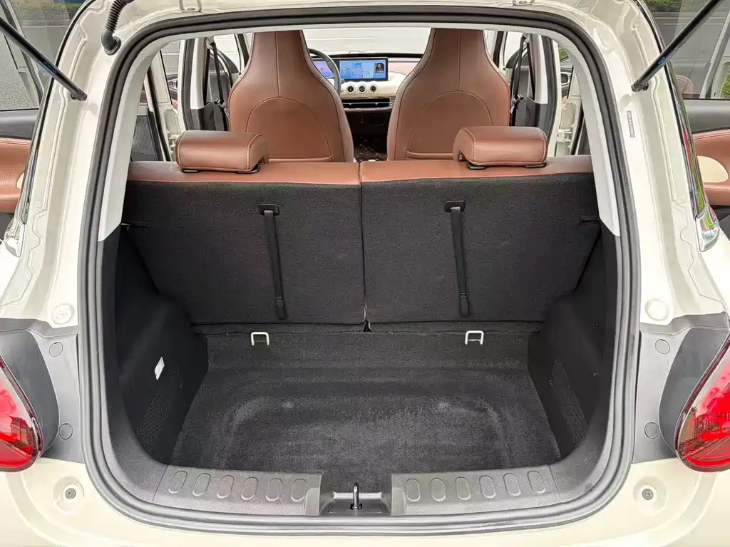 Wuling Binguo 2023 333km +