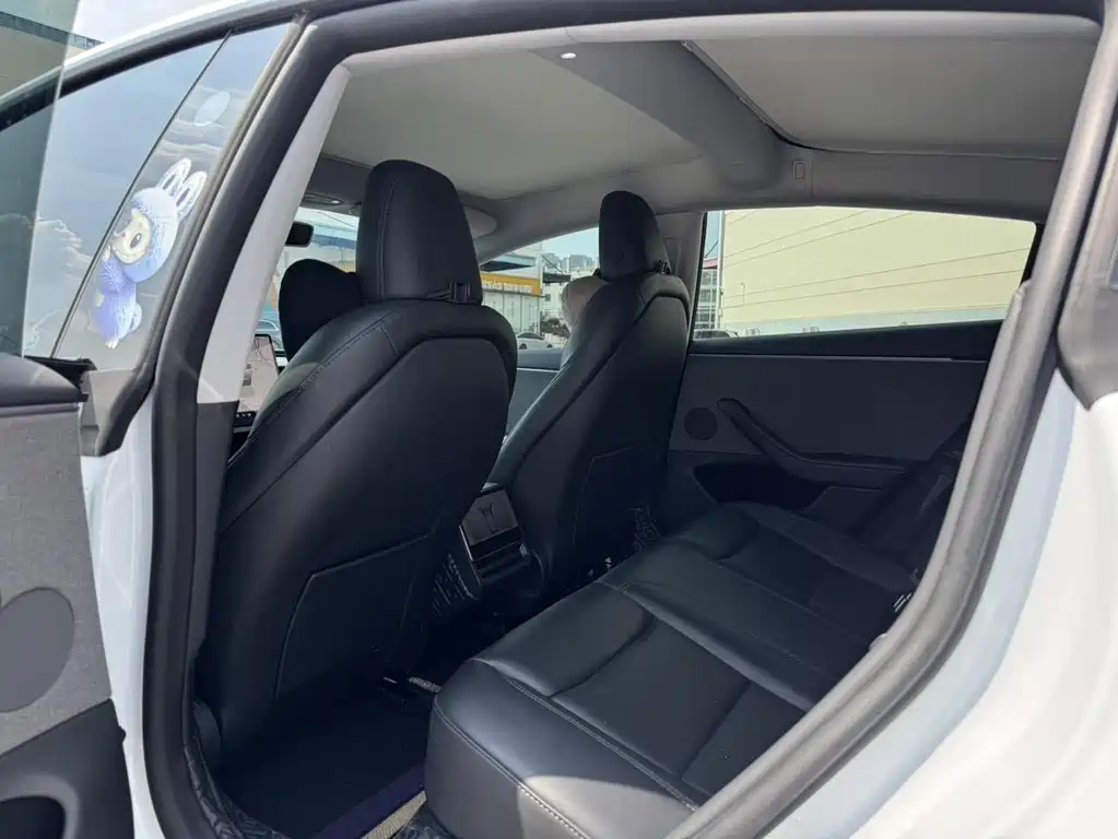 Tesla Model 3 — миниатюра 11