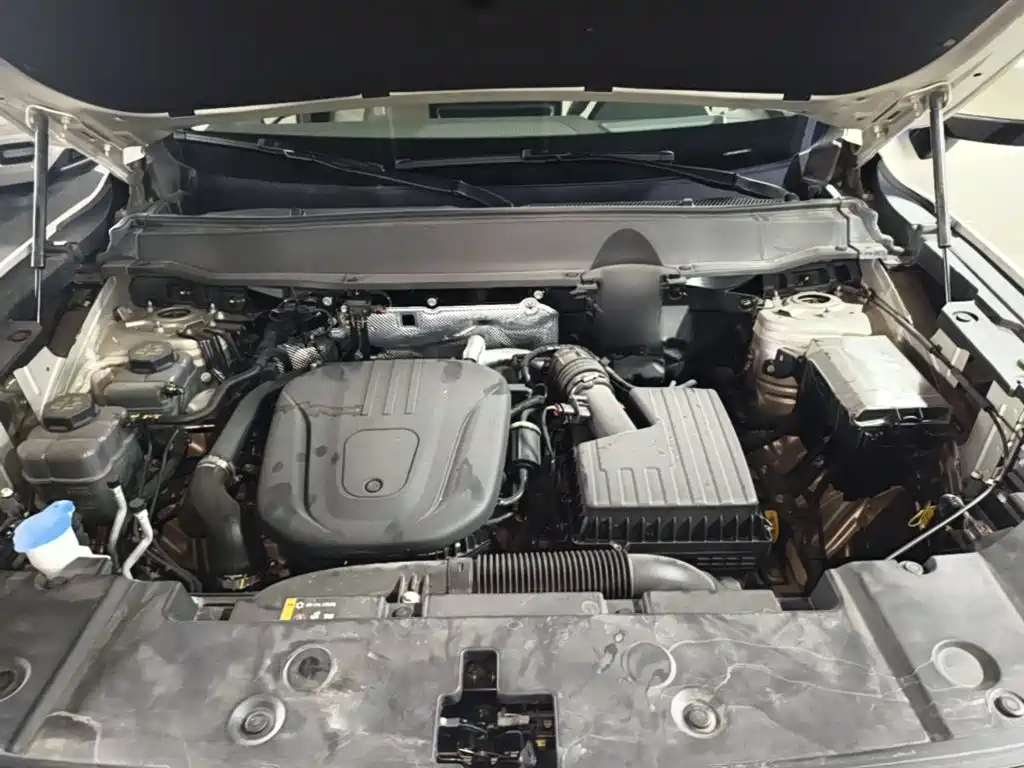 Haval Big Dog PLUS New Energy — миниатюра 20