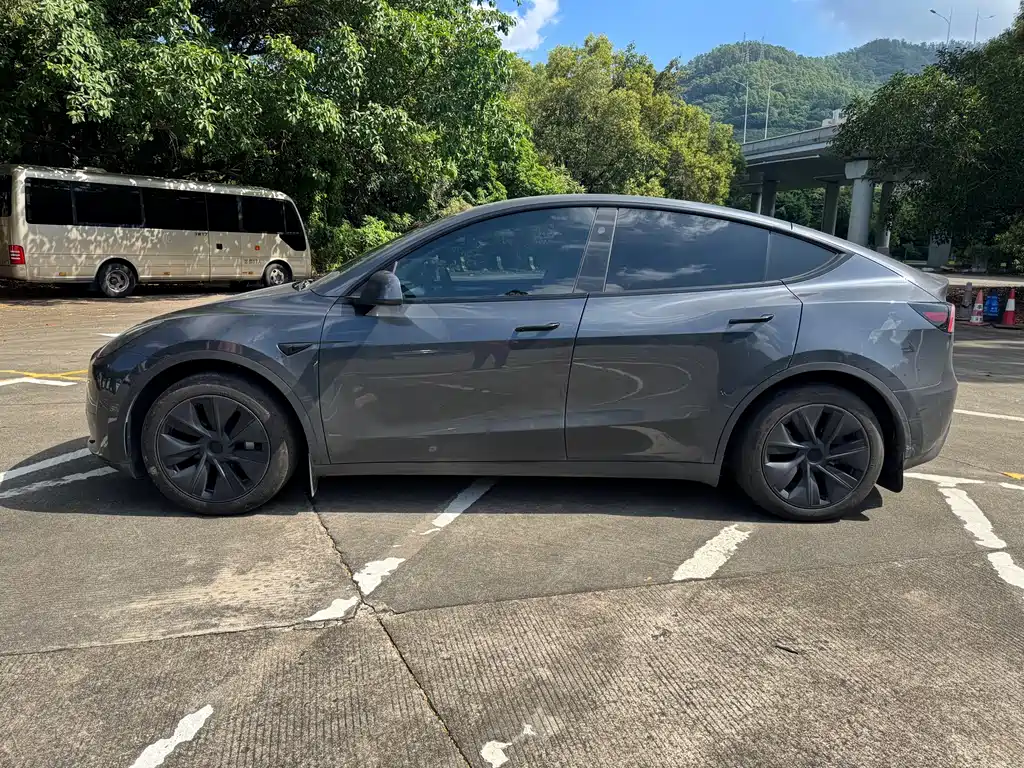 Tesla Model Y — миниатюра 3