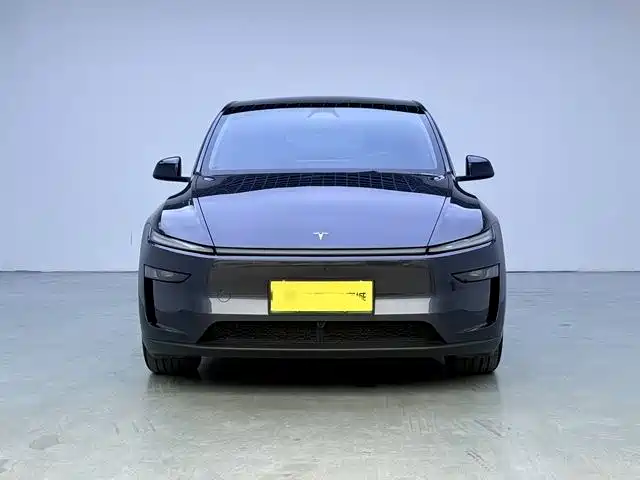 Tesla Model Y — миниатюра 2