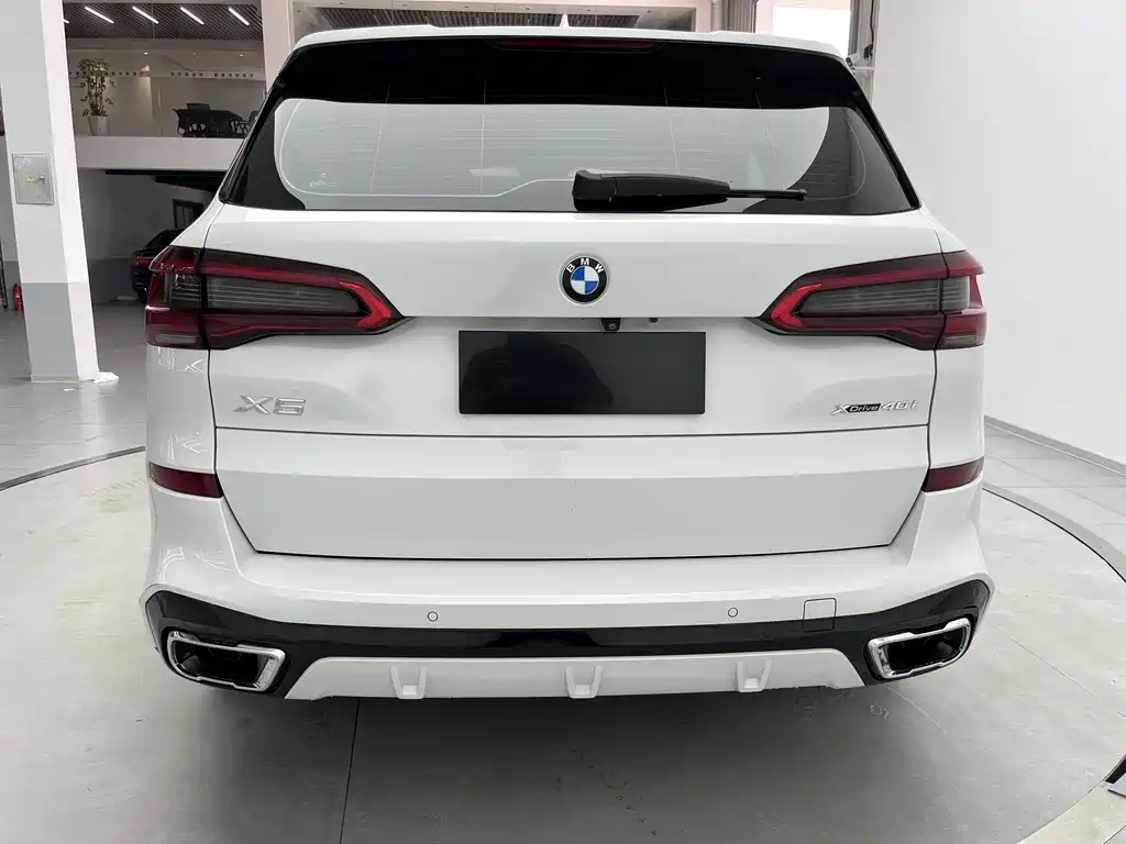 BMW X5 (Import) — миниатюра 6