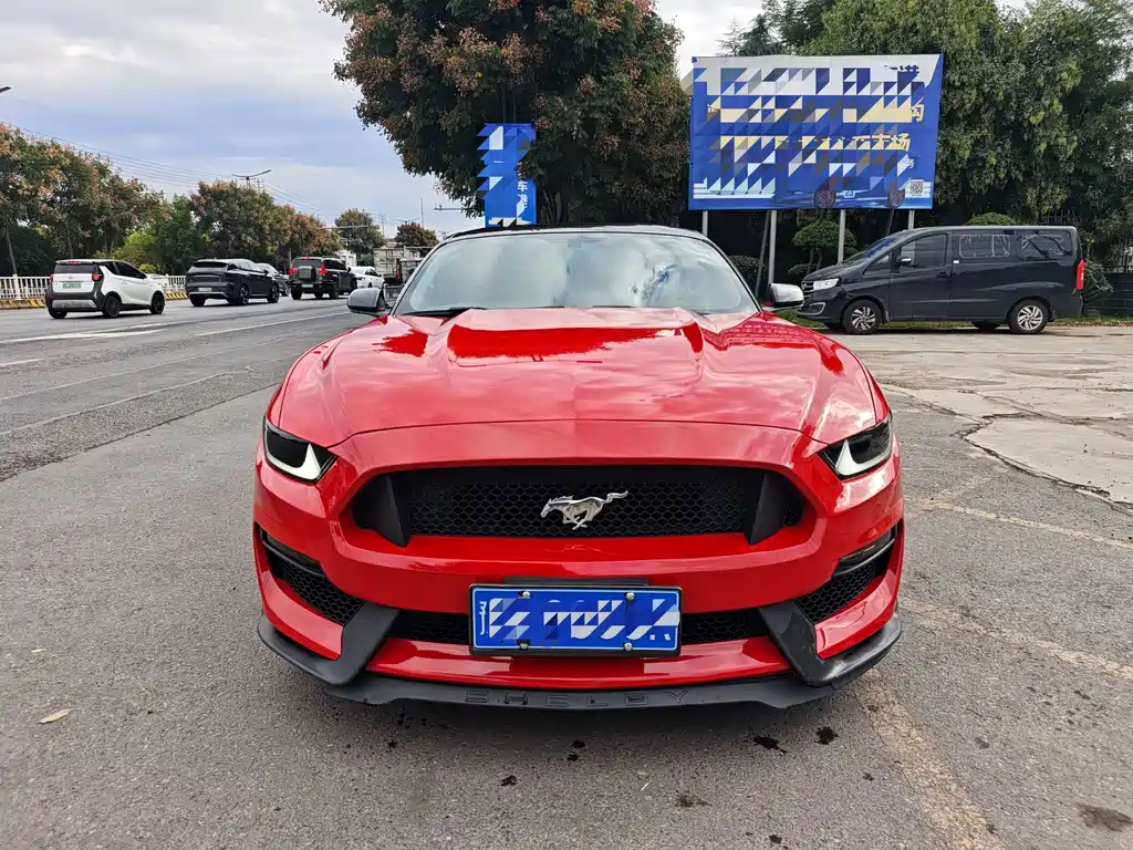 Ford Mustang — миниатюра 3