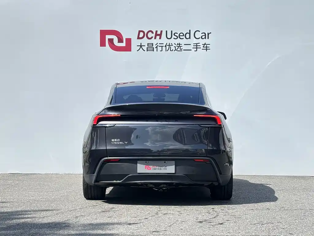 Tesla Model Y — миниатюра 7