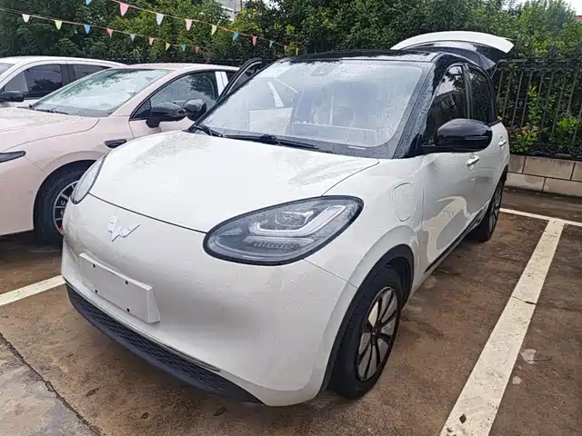 Wuling Bingo