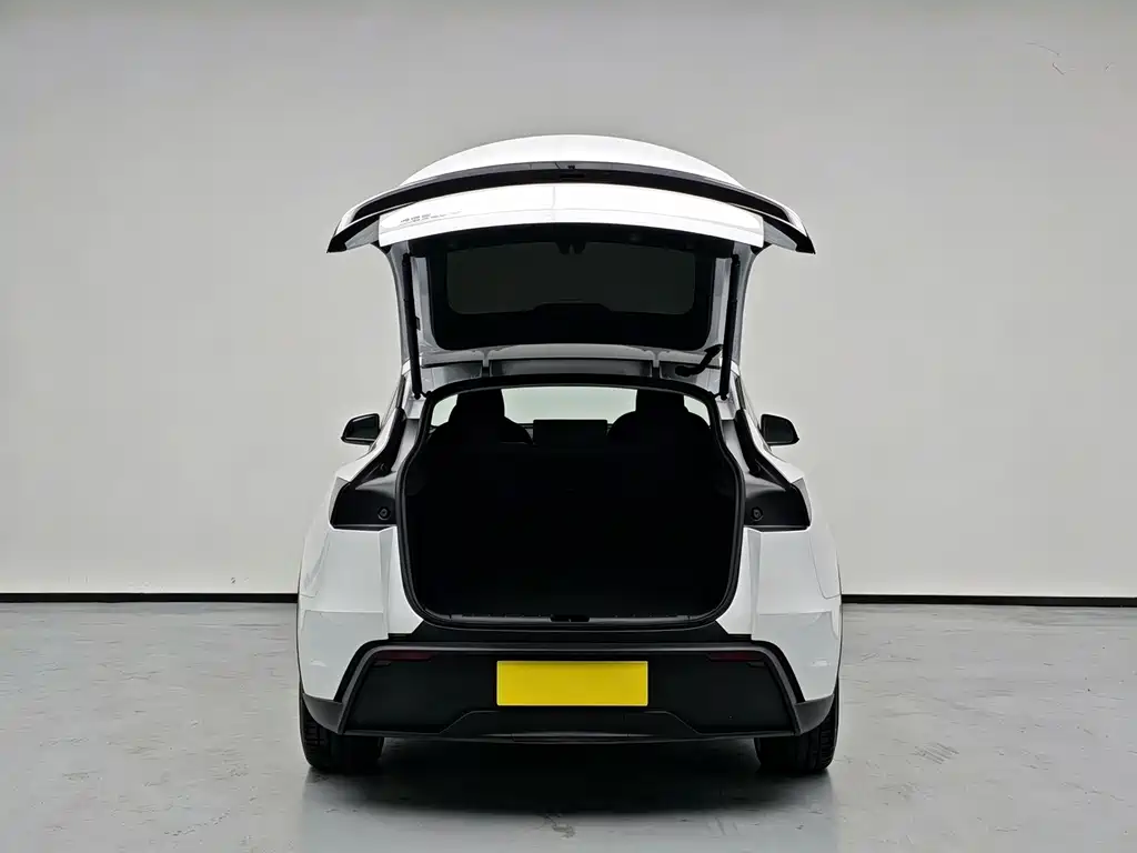 Tesla Model Y — миниатюра 8