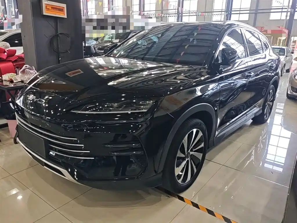 Byd PLUS New Energy 2024