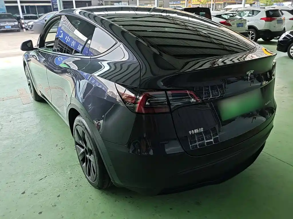 Tesla Model Y — миниатюра 5