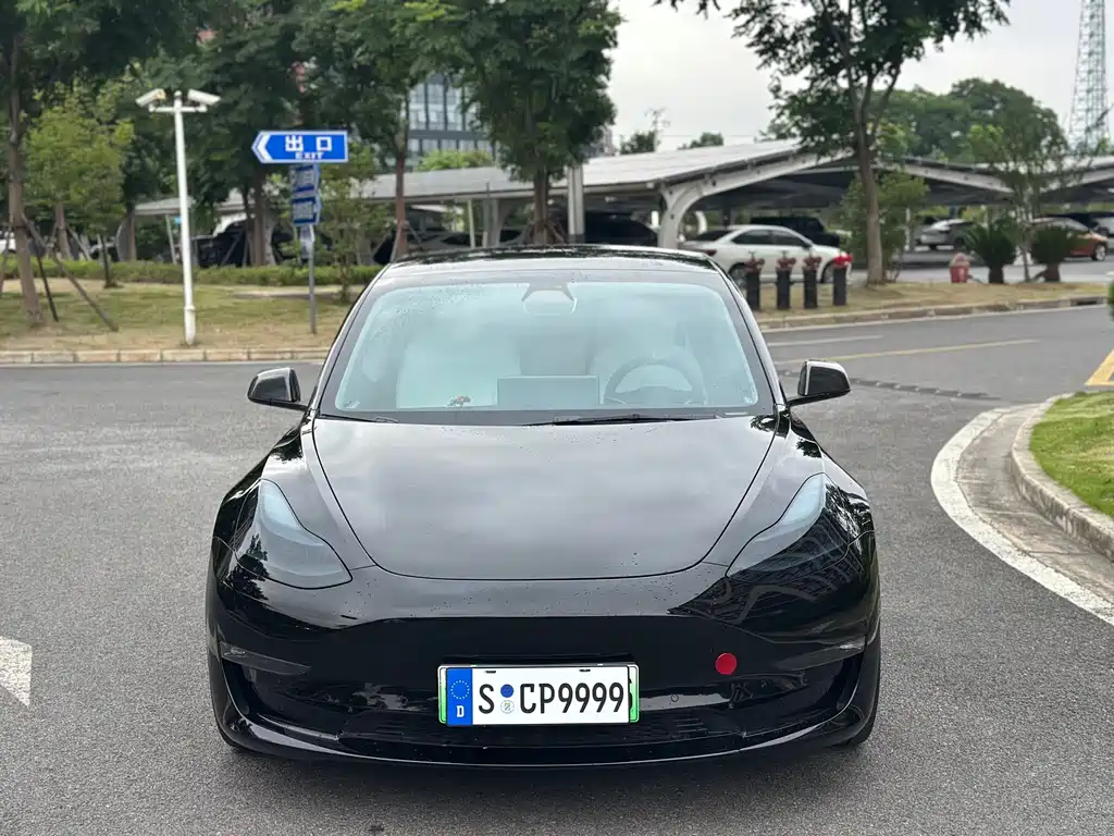 Tesla Model 3 2021 Performance 3D6