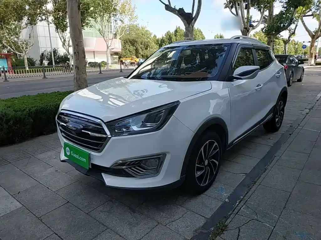 Zotye Zotye T300