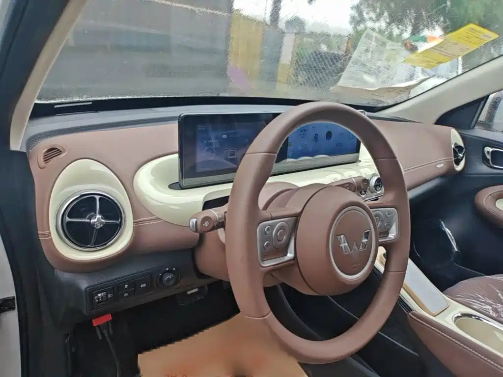 Wuling Binguo 2025 333km Enjoy