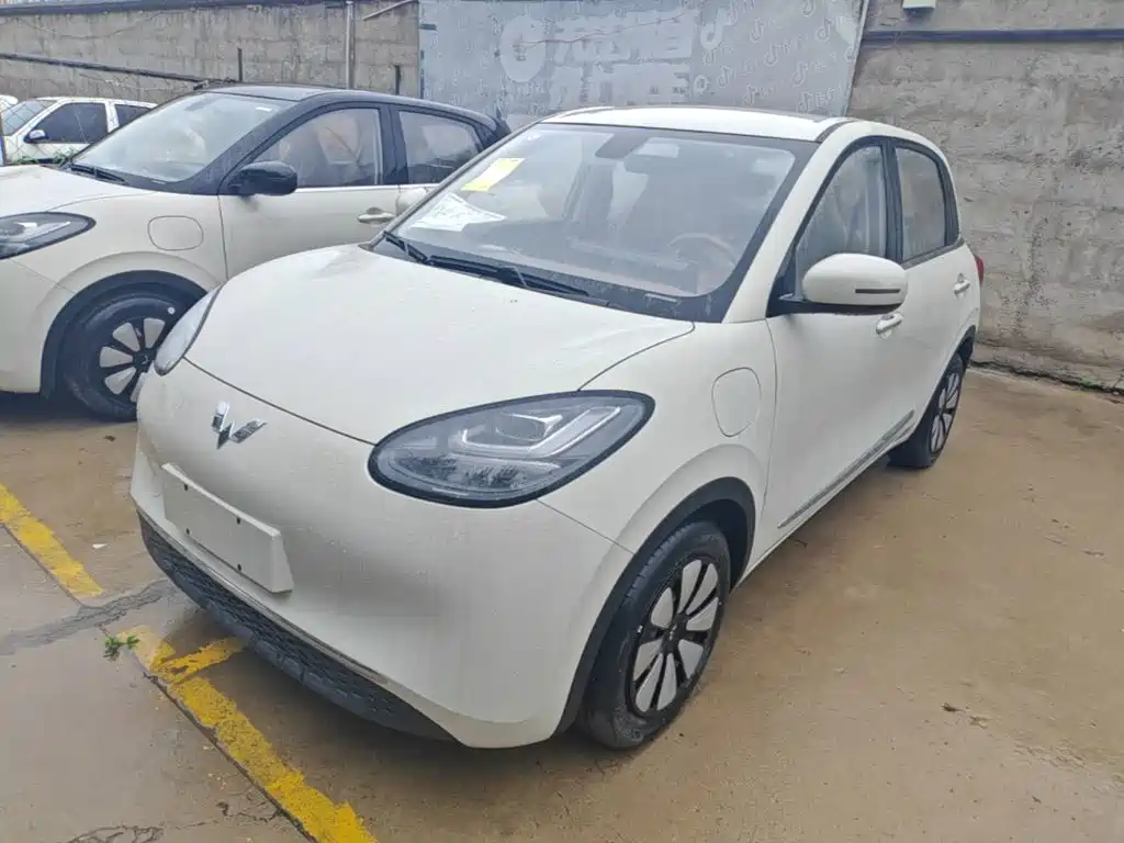 Wuling Binguo 2025 333km Enjoy