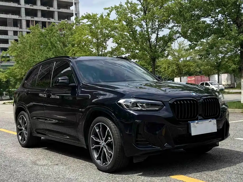 BMW X3 — миниатюра 3
