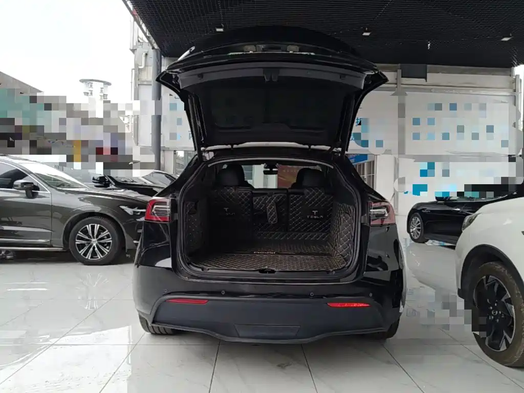 Tesla Model Y — миниатюра 19